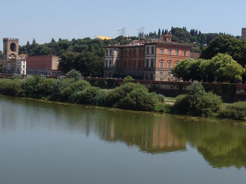 Siluro in Arno a Firenze